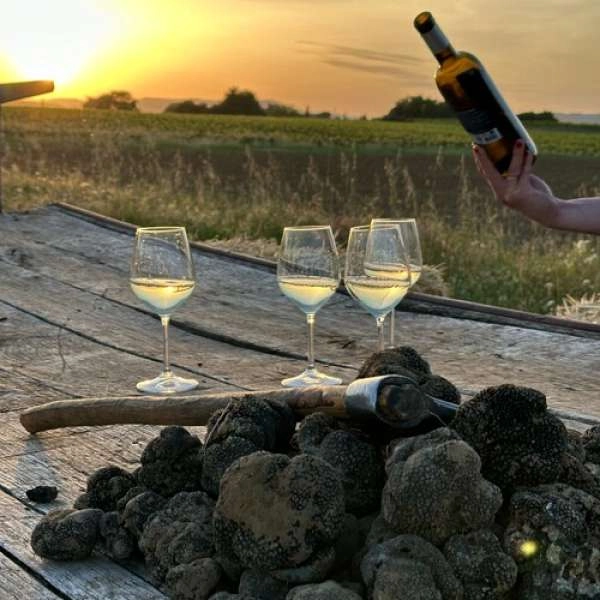 Soirée truffes & huile d’olive au cœur du Luberon au Moulin Bastide du Laval à Cadenet