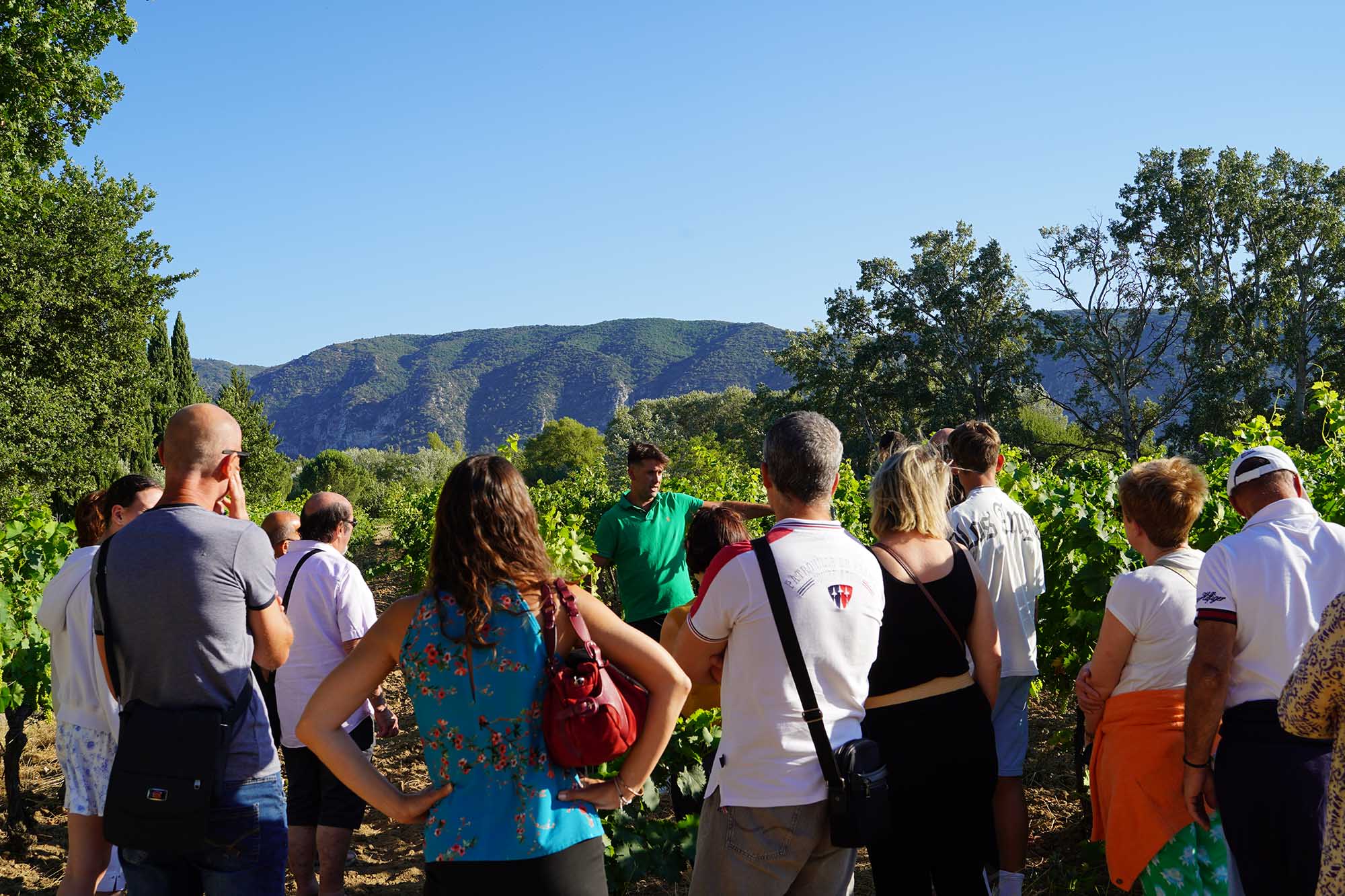 Dégustation de vins lors des Sunsets Vignerons Dégustation de vins et accords gourmands lors d'une soirée Sunsets Vignerons au Domaine La Royère dans le Luberon