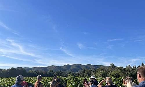 Sunsets Vignerons en Luberon au Château St Pierre de Mejans_Puyvert