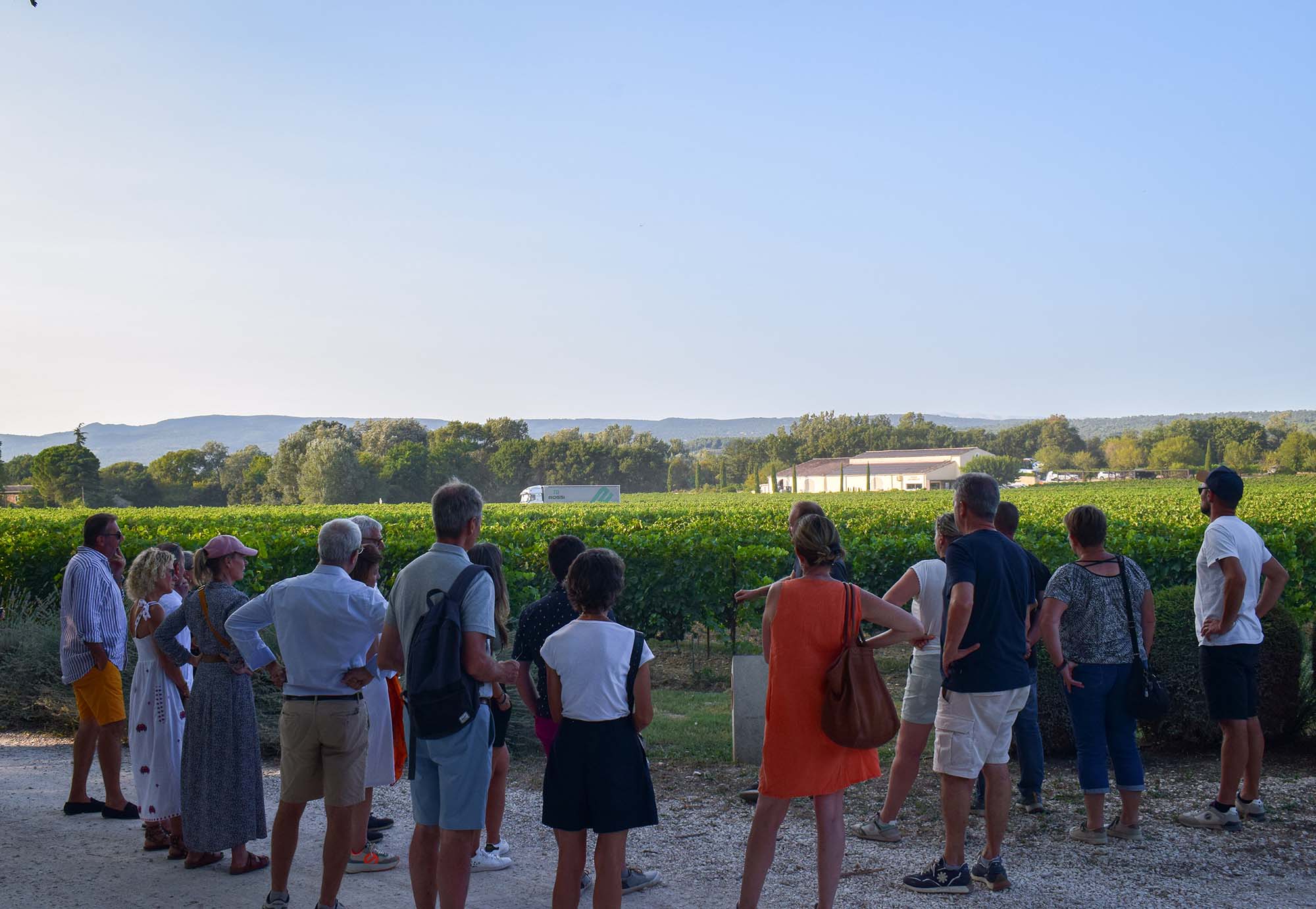 Dégustation de vins lors des Sunsets Vignerons Dégustation de vins et cuisine méditerranéenne lors d'une soirée Sunsets Vignerons au Domaine La Garelle dans le Luberon