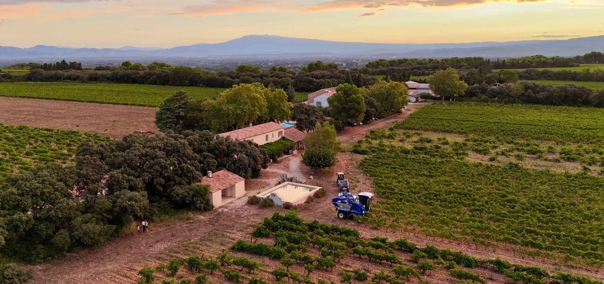 Sunsets Vigneron 2026 au Clos des Saumanes
