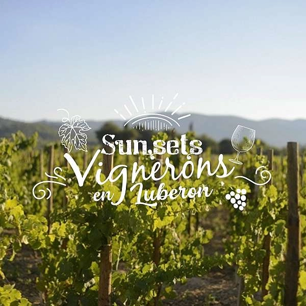 Sunsets Vignerons 2026 au domaine de MasLauris