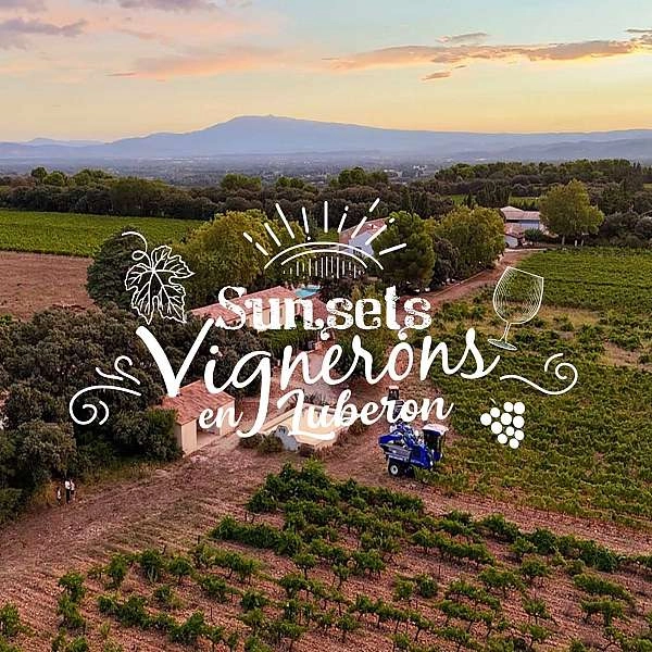 Sunsets Vigneron 2026 au Clos des Saumanes