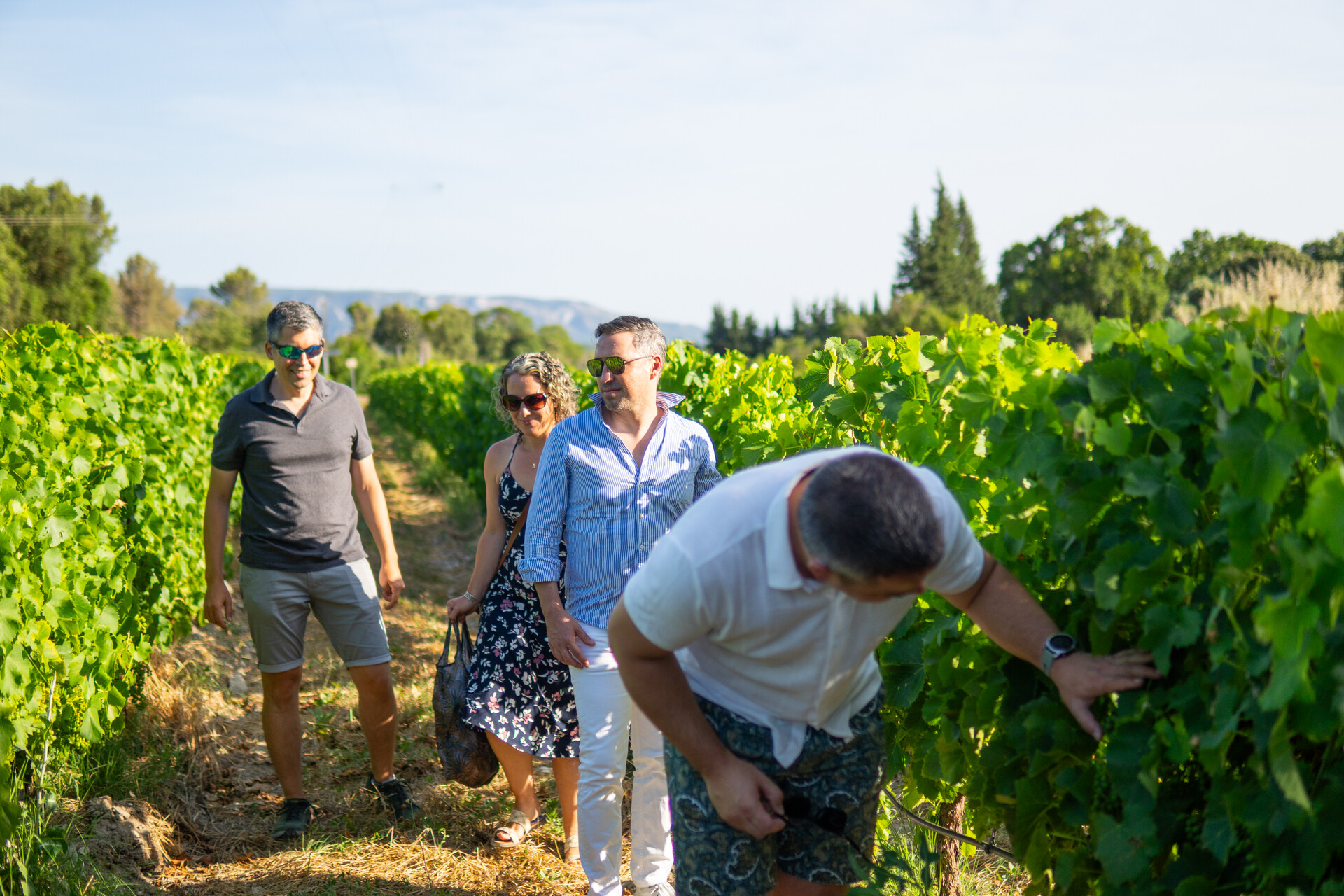 Dégustation de vins lors des Sunsets Vignerons Dégustation de vins et accords gourmands lors d'une soirée Sunsets Vignerons au Domaine TréluS