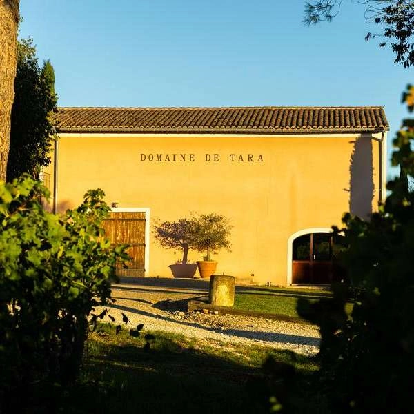 Sunsets Vignerons 2026 au Domaine Tara