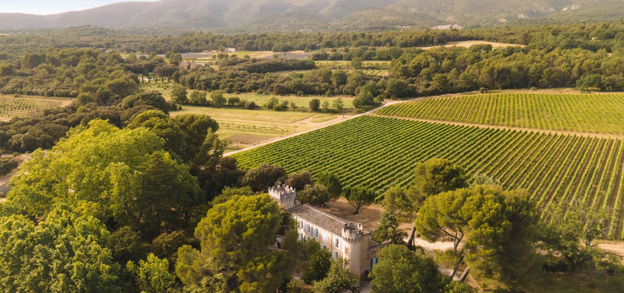 Sunsets Vignerons 2026 au Château La Sable