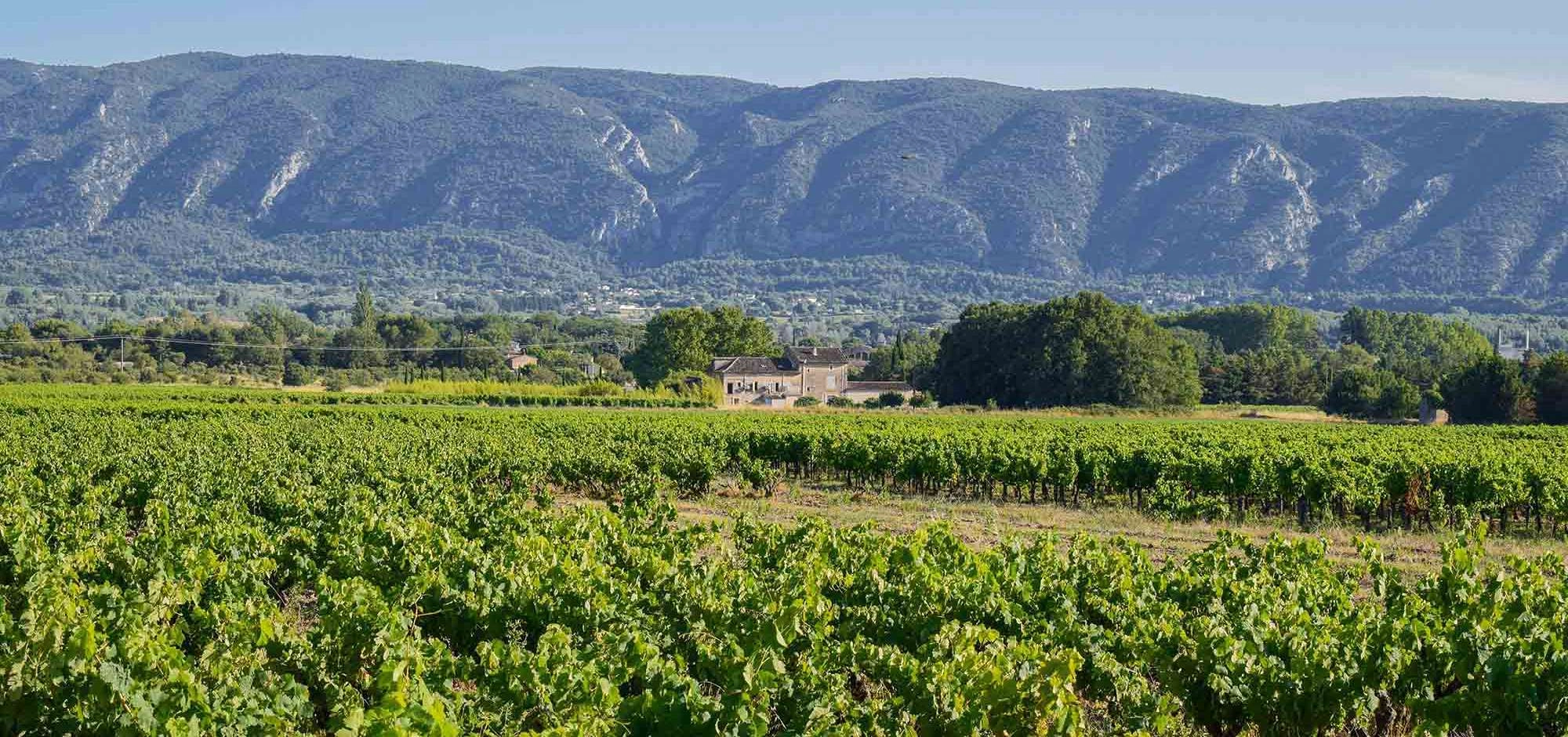 Sunsets Vignerons 2026 au Domaine de La Bastidonne