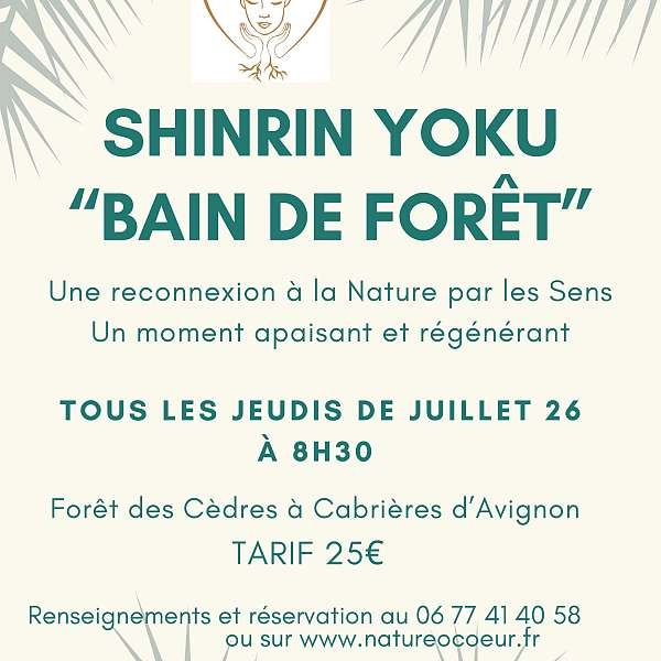 Sortie Shinrin Yoku ou Bain de Forêt