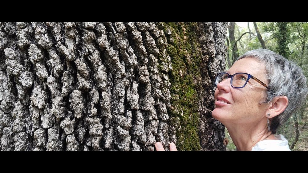 Bain de forêt avec Christine, naturopathe Bain de forêt avec Christine, naturopathe, au contact des arbres dans le Luberon