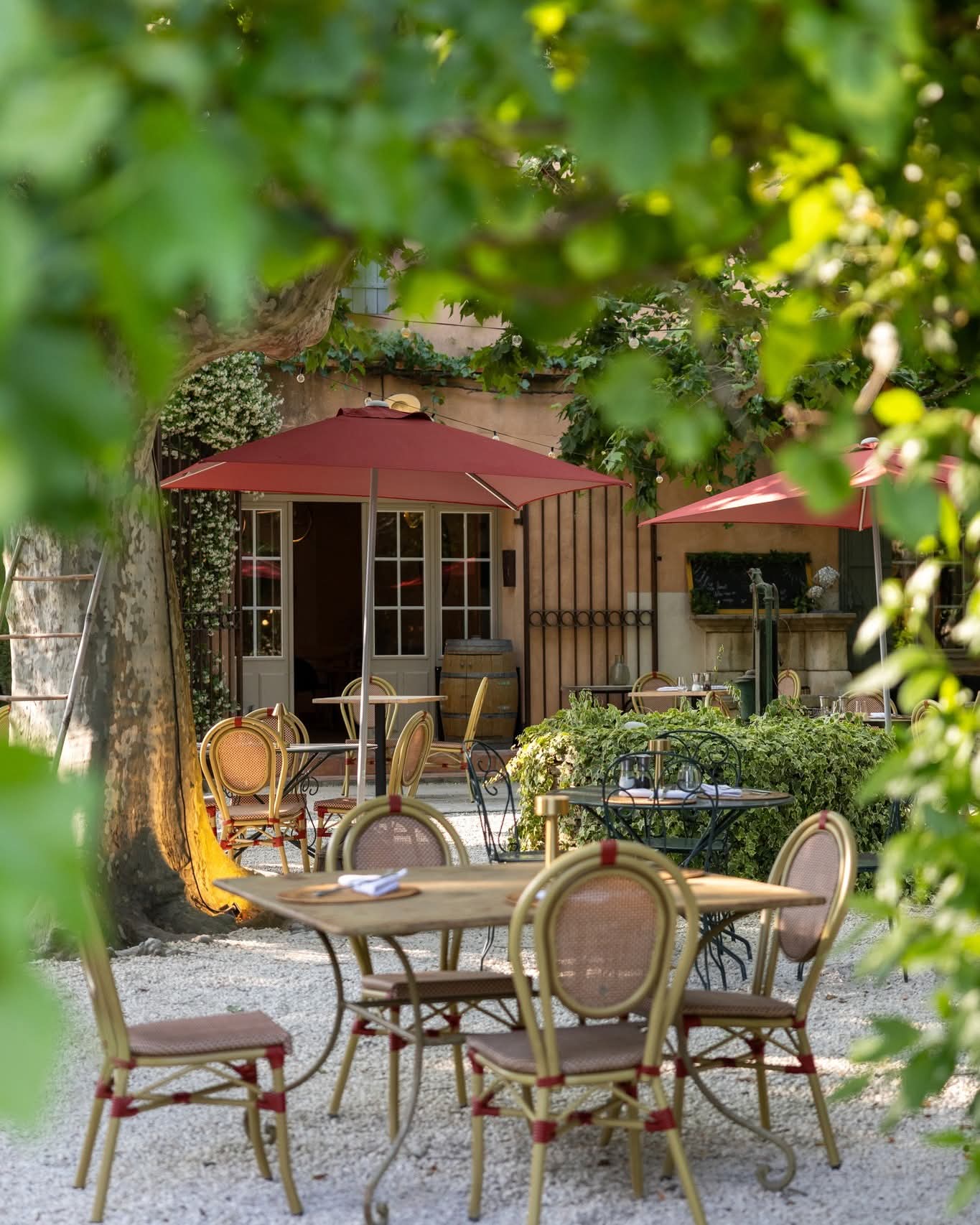 Terrasse du restaurant Sous les Platanes au Domaine des Grès à Lagnes