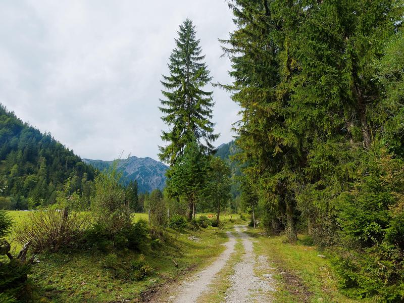 Gestion de la forêt méditerranéenne à Mérindol Sortie nature autour de la gestion de la forêt méditerranéenne à Mérindol