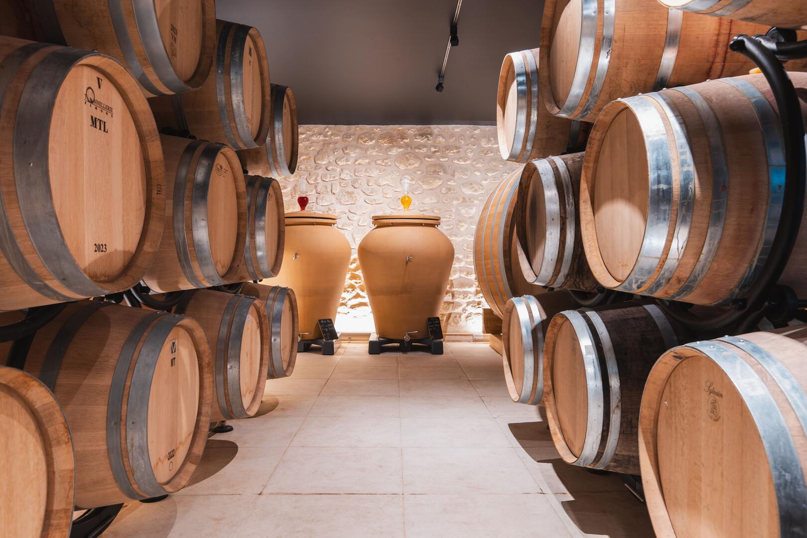 Dégustation de vieux millésimes au Domaine de La Citadelle