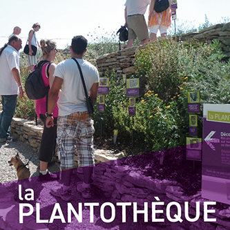 Jardin botanique de la Plantothèque à la distillerie Aroma’Plantes