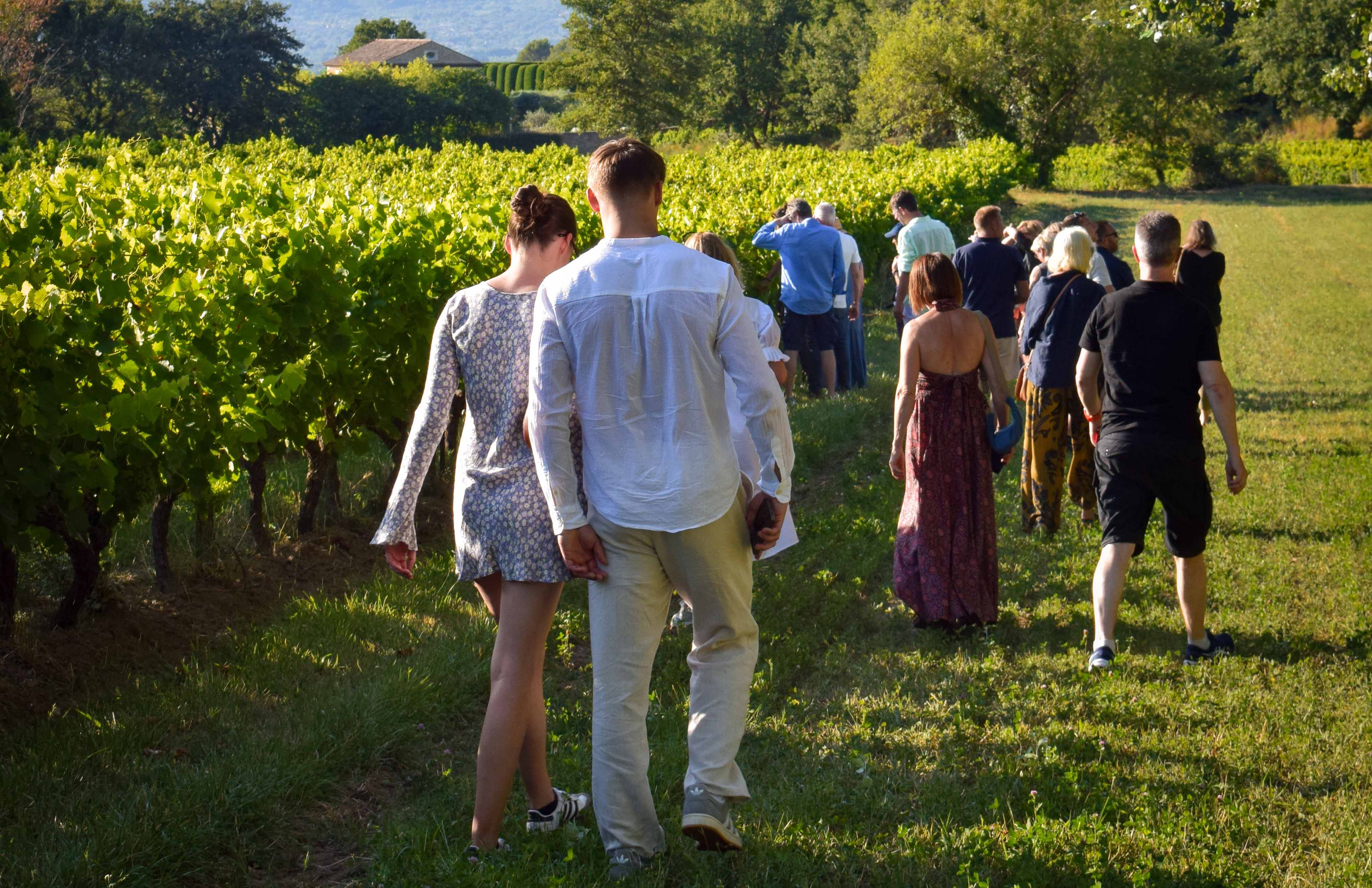 Sunsets Vignerons en Luberon