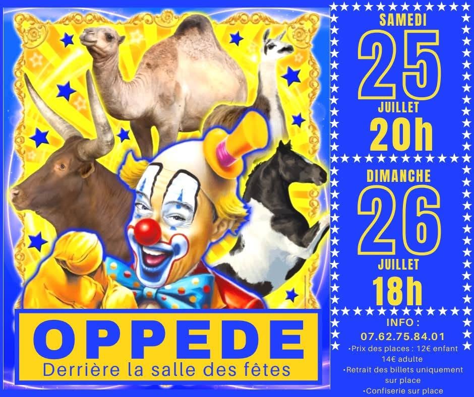 Cirque à Oppède Affiche du spectacle de cirque à Oppède avec numéros variés pour petits et grands