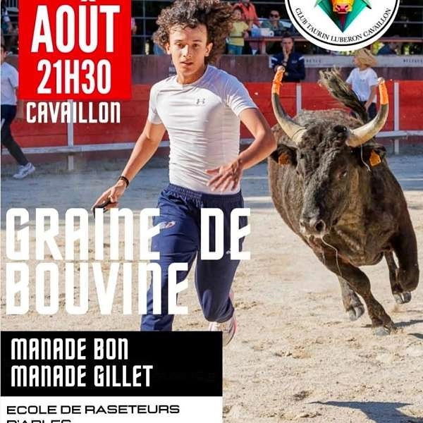 Club Taurin Luberon Cavaillon