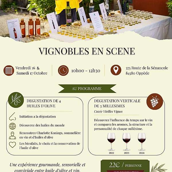 Vignobles en Scène : Atelier dégustation d'huile d'olive et dégustation verticale