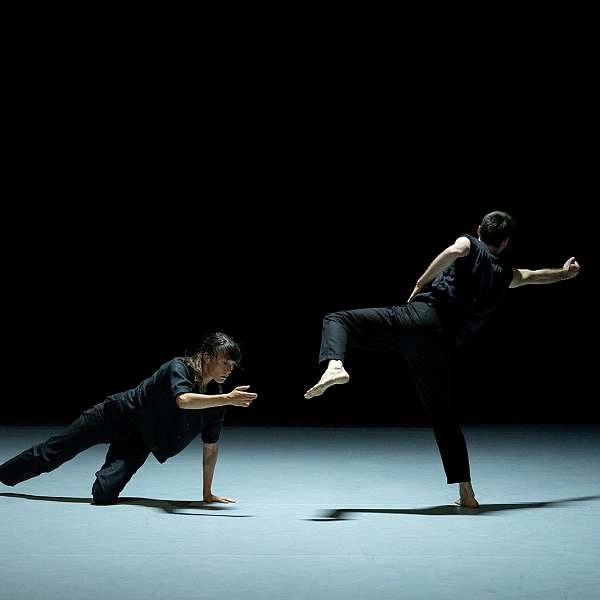 À l’ombre d’un vaste détail, hors tempête – Danse à Cavaillon