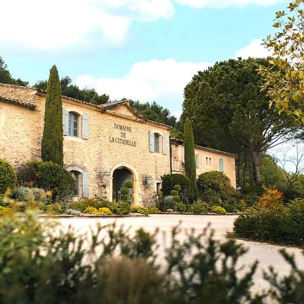 Vignobles en scène : Dégustation de vieux millésimes à Ménerbes