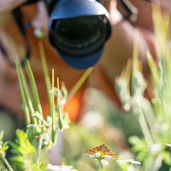 La photographie nature à Cabrières-d’Avignon