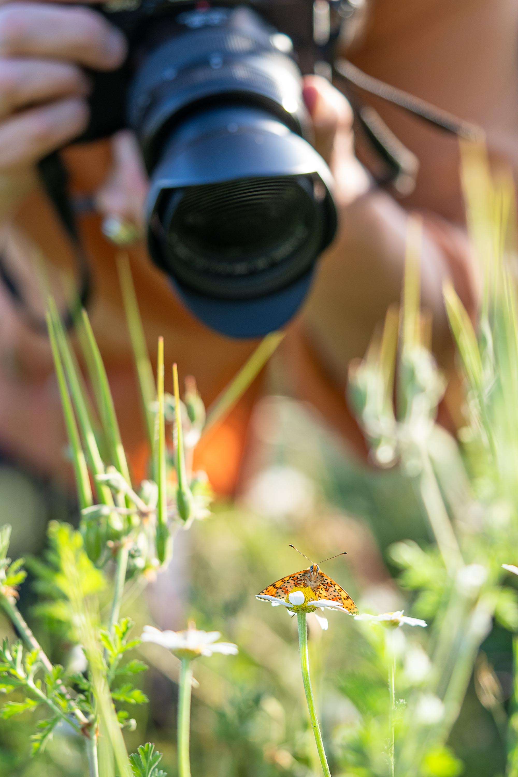 Conférence sur la photographie nature avec David Tatin