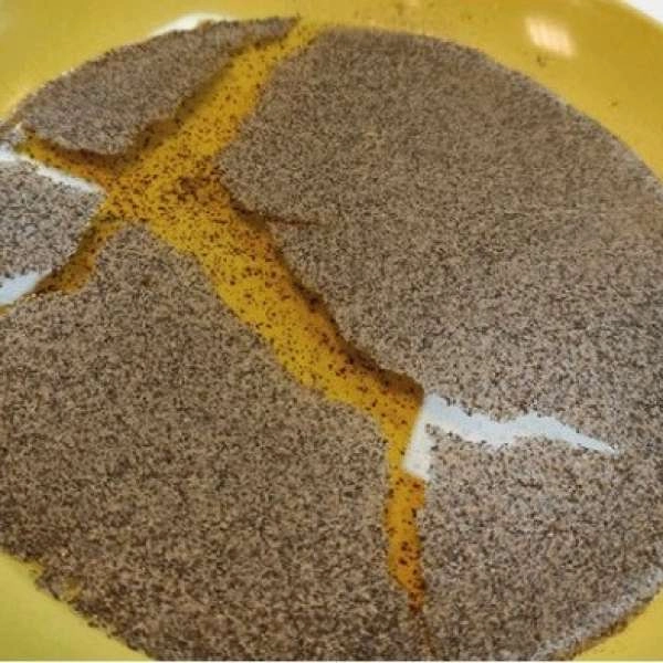 La Science dans l’assiette : atelier scientifique à Lauris