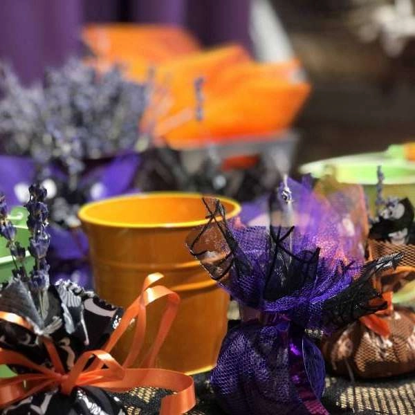 Halloween au Musée de la Lavande Luberon à Coustellet