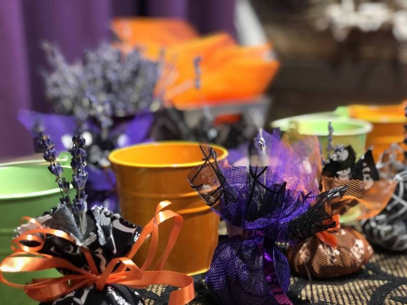 Décorations et animations d’Halloween au Musée de la Lavande Luberon à Coustellet