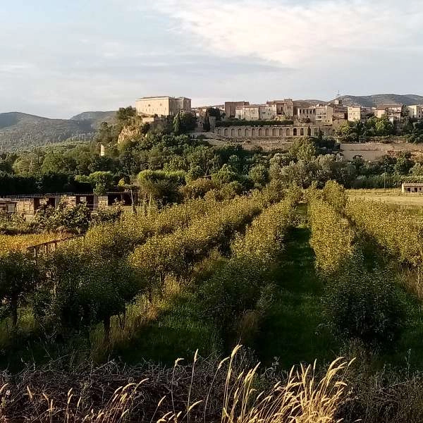 Sortie buissonnière : entre paysages et terres nourricières à Lauris