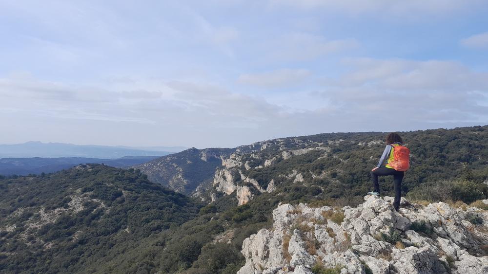 Randonnée dans le Petit Luberon au départ de Puget Paysages du Petit Luberon lors de la sortie buissonnière au départ de Puget
