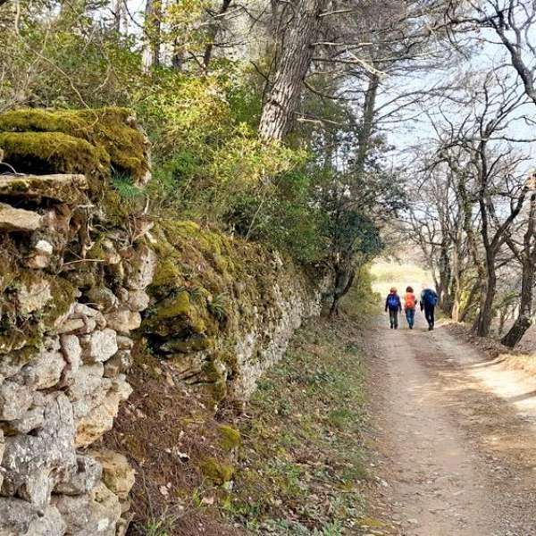 Sortie buissonnière : le sentier des ribas du Vieil-Oppède