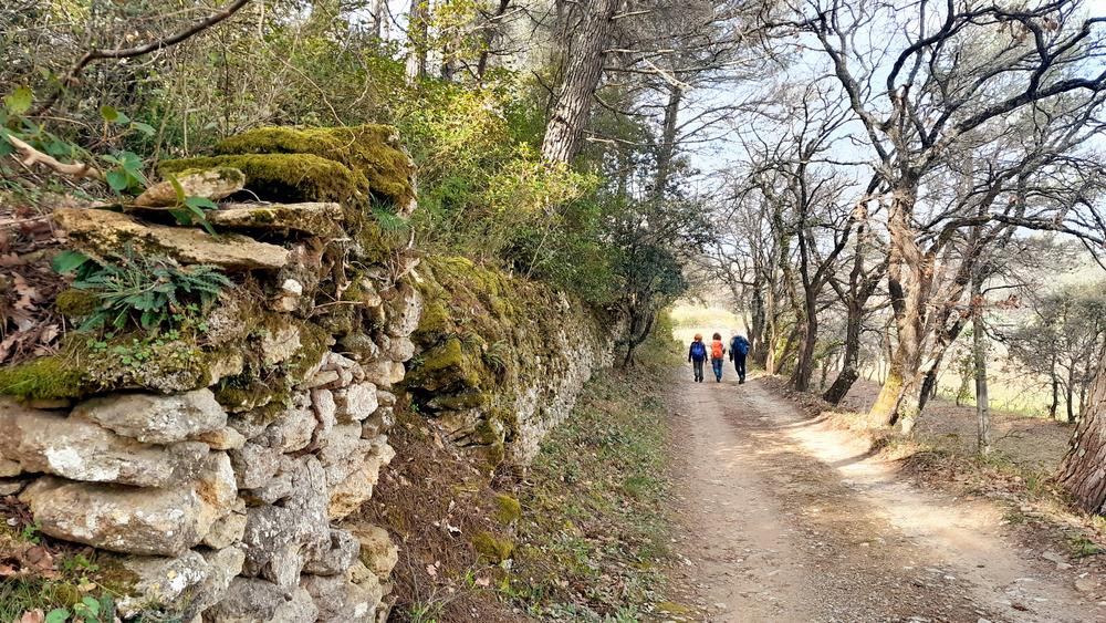 Sortie buissonnière sur le sentier des ribas du Vieil-Oppède Sentier des ribas du Vieil-Oppède lors d’une sortie géologique dans le Luberon