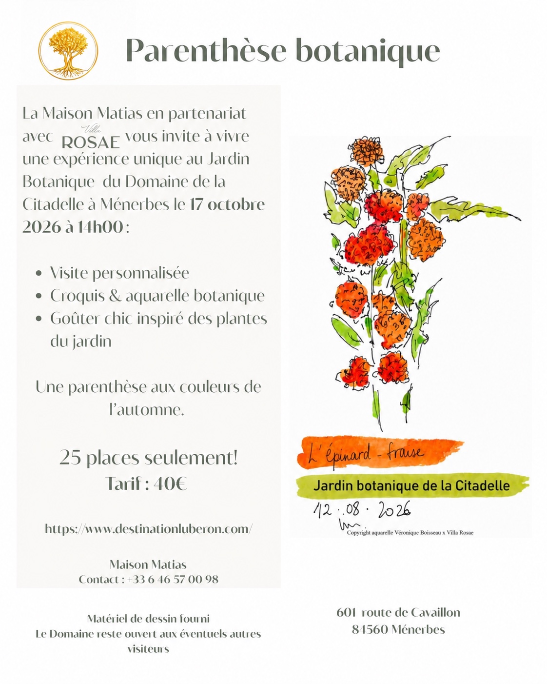 Programme de la Parenthèse botanique de Maison Matias Illustration de la Parenthèse botanique, aquarelle et gourmandise de Maison Matias