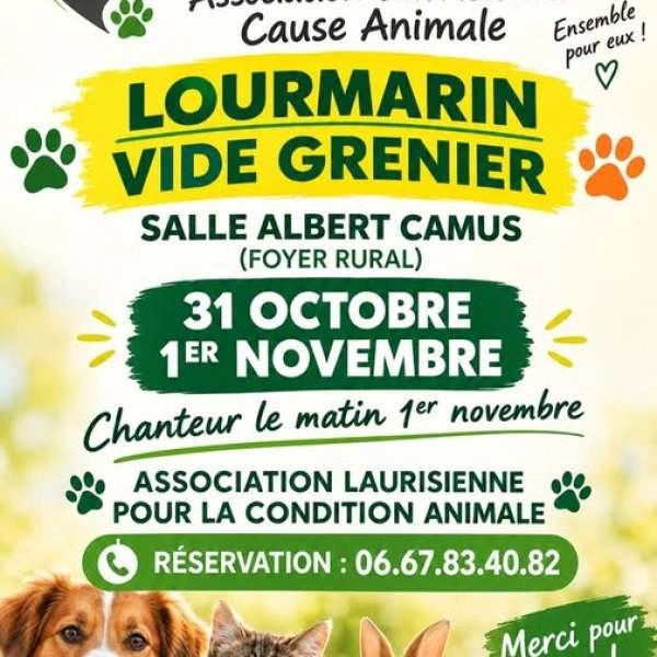 Vide-grenier pour la cause animale à Lourmarin