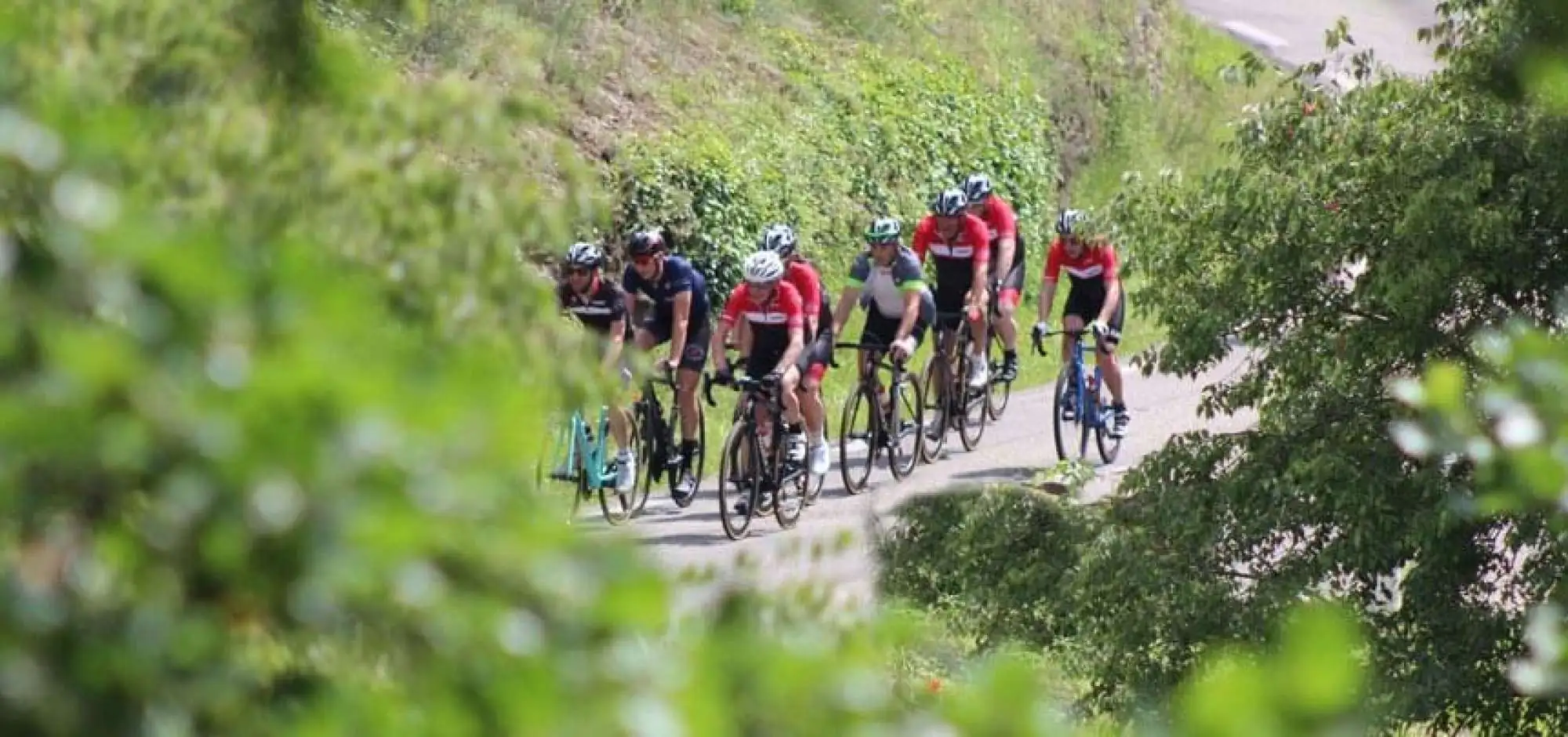 Le Top Test des meilleurs vélos du monde s'invite dans le Luberon