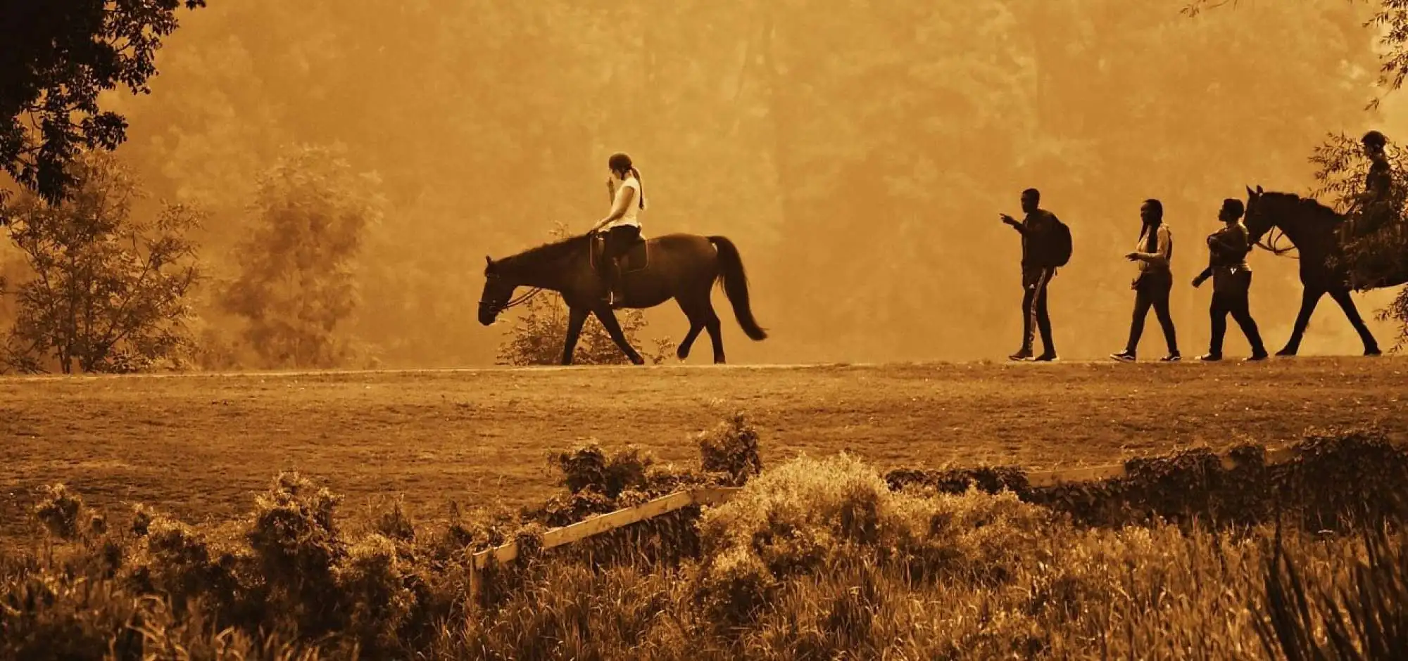 Balades et promenades à cheval dans le Luberon