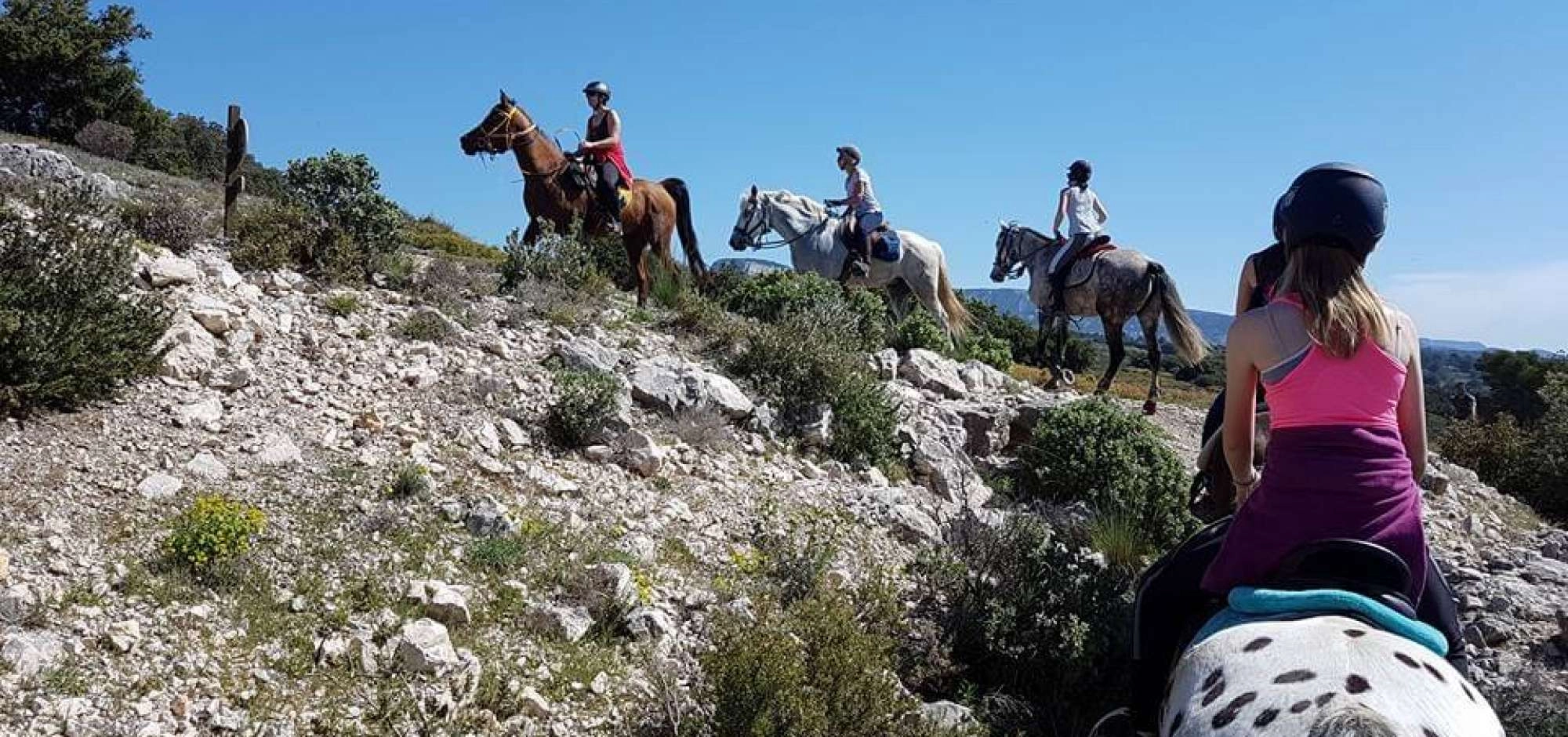 Balades à cheval et poney avec l'Elevage du Faci