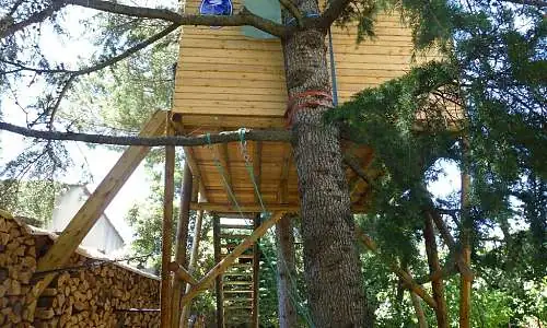 Cabane dans les arbres