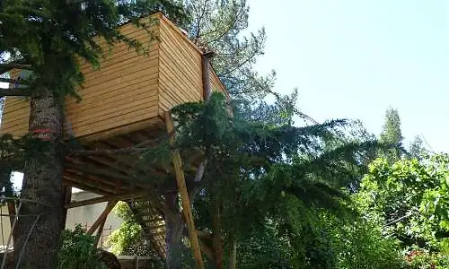 Cabane dans les arbres