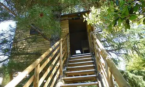 Cabane dans les arbres