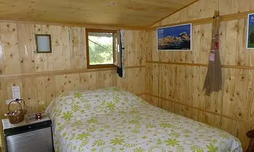 Cabane dans les arbres