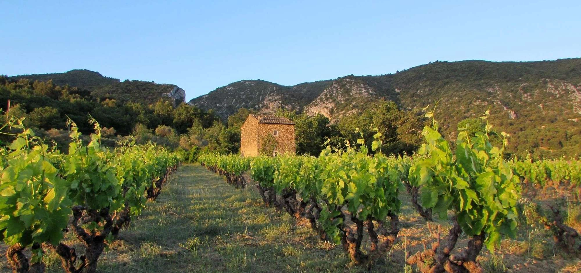 Domaine Val de Combrès