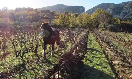 Domaine Val de Combrès