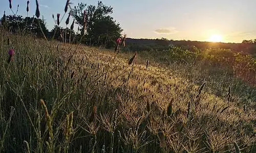 Cabrières d'Avignon 1.jpg