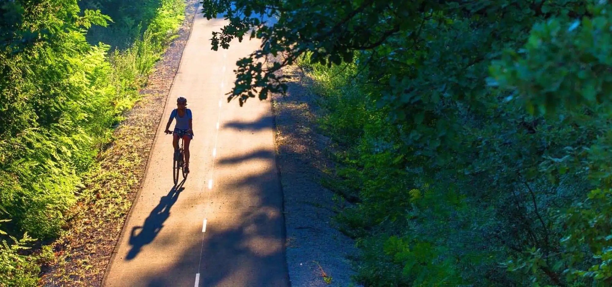Une expérience de grand air ! du vélo !