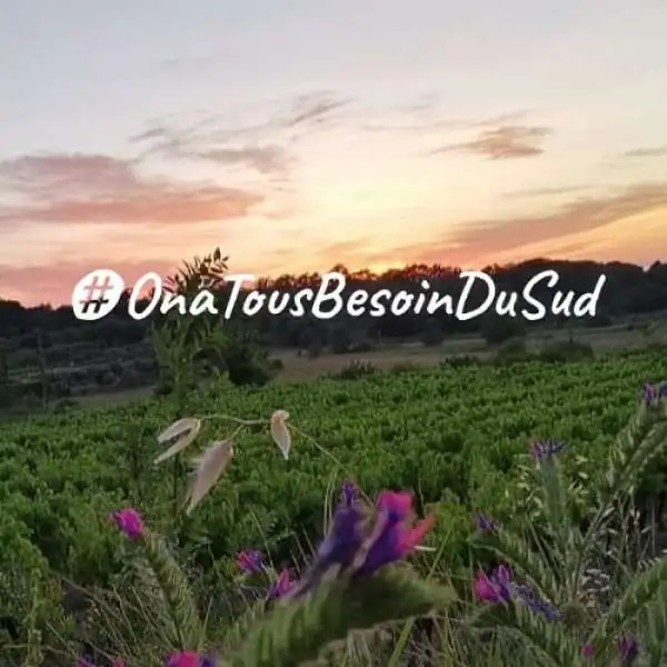 Nos ambassadeurs du Sud