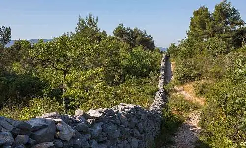 Mur de la Peste