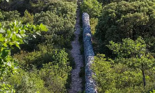 Mur de la Peste
