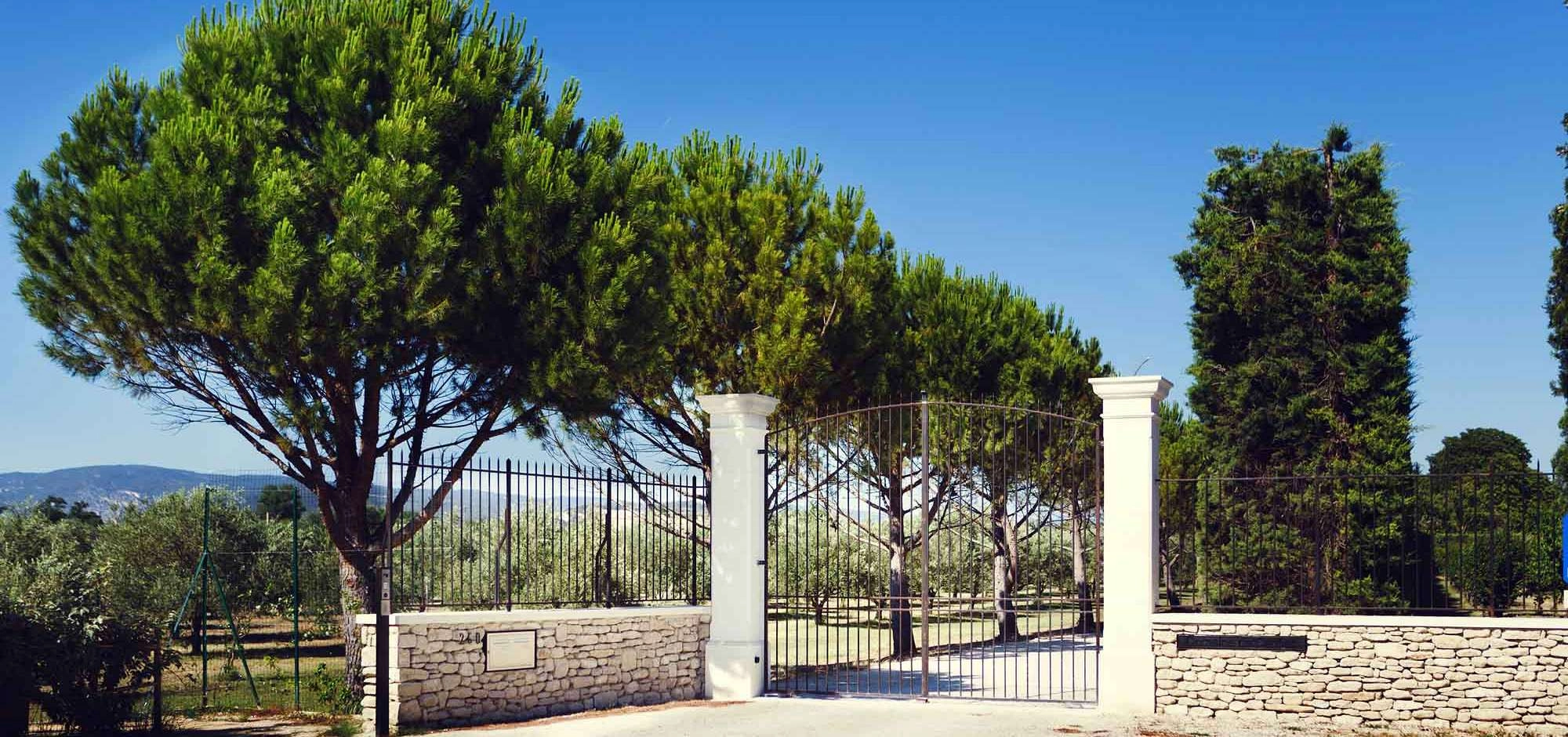 Domaine de Canfier - Huile d'olive biologique