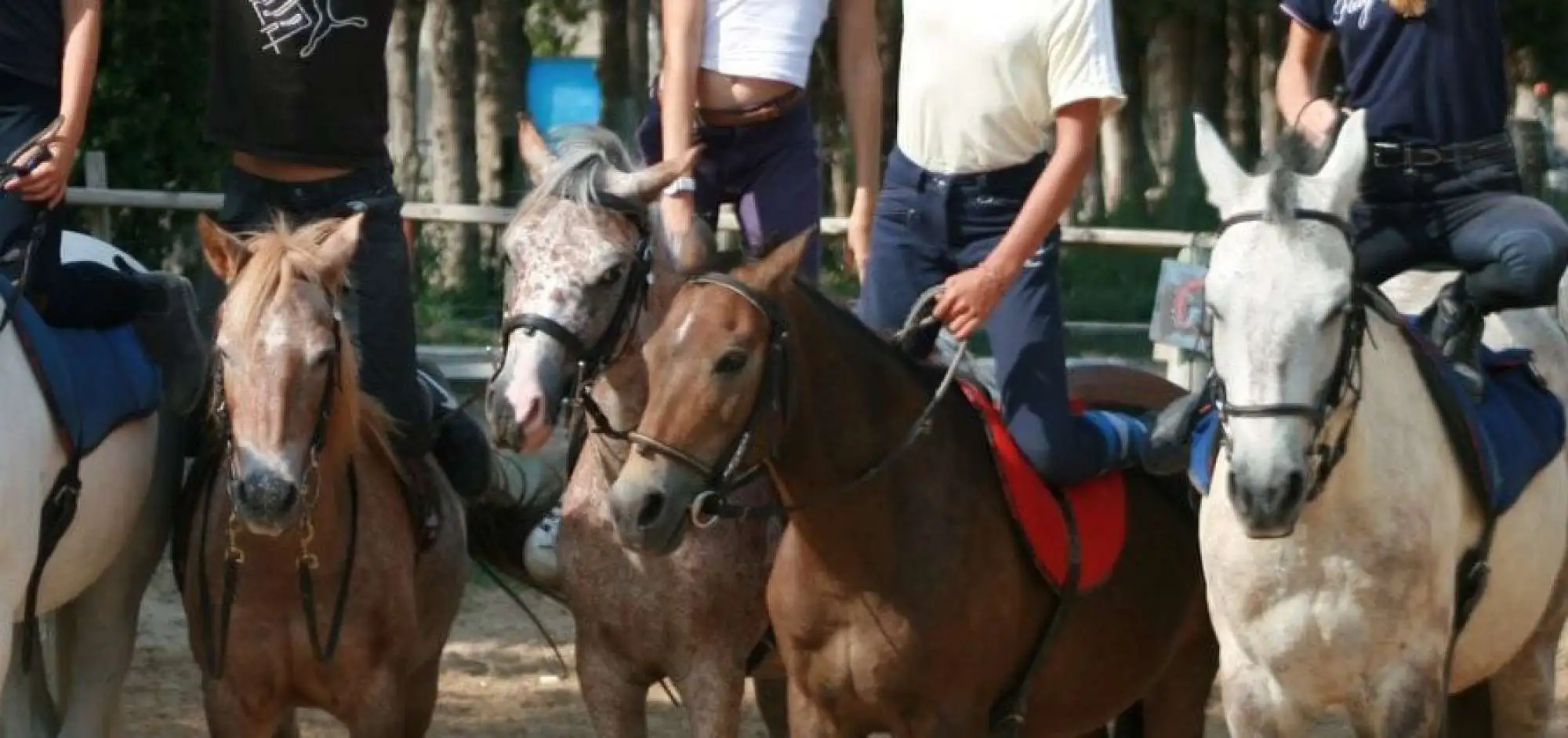 Balade à cheval entre les monts du Vaucluse et le plateau du Luberon